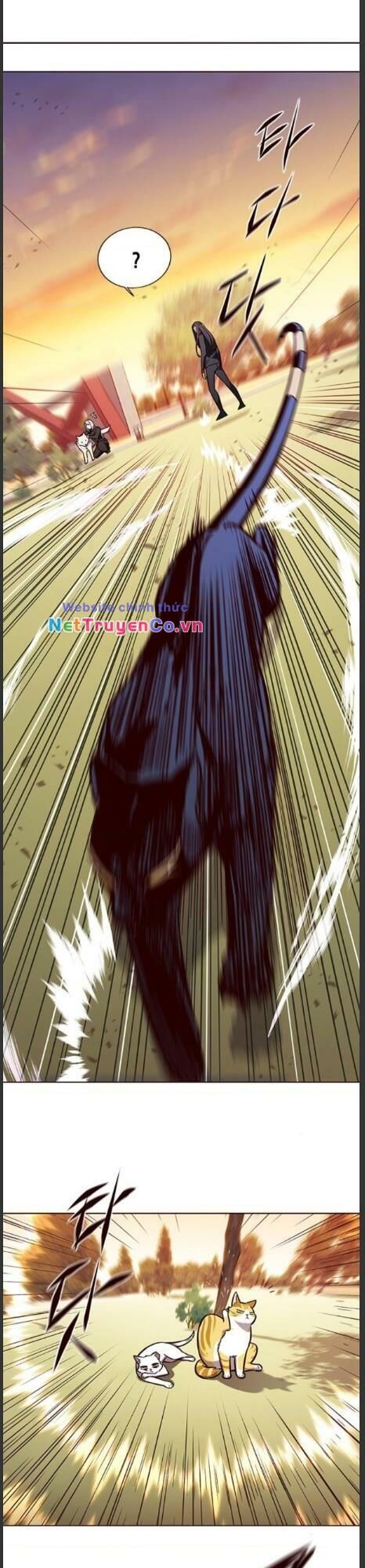 Cô Dâu Của Sói Trắng Chapter 161 - Trang 2