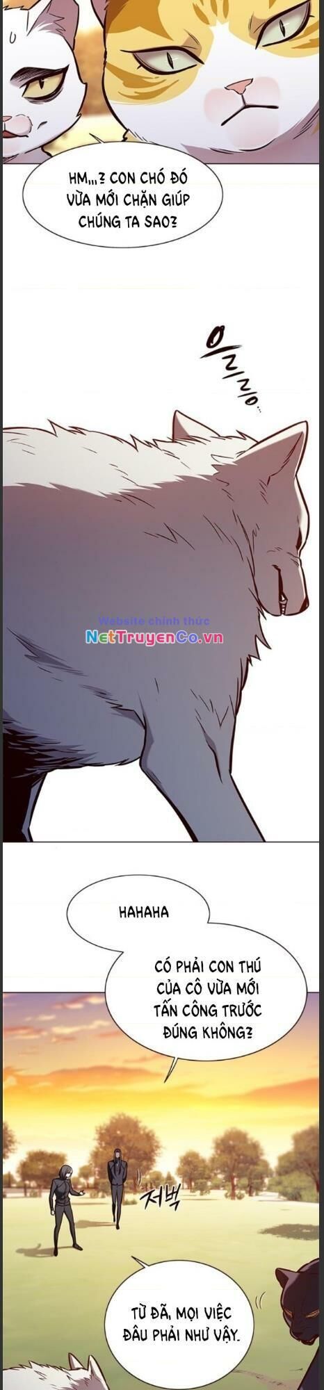 Cô Dâu Của Sói Trắng Chapter 161 - Trang 2