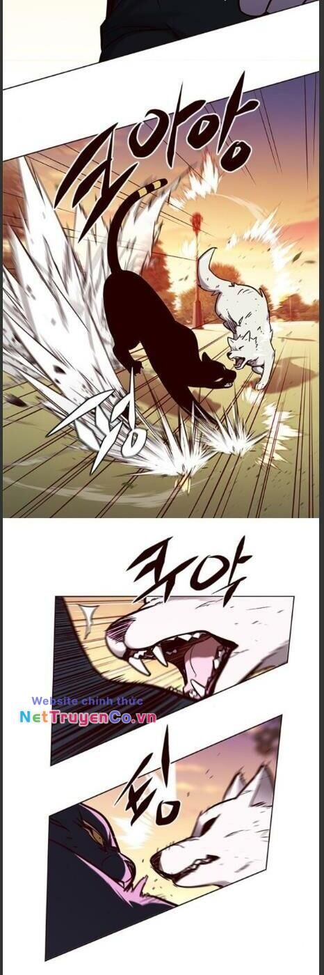 Cô Dâu Của Sói Trắng Chapter 161 - Trang 2