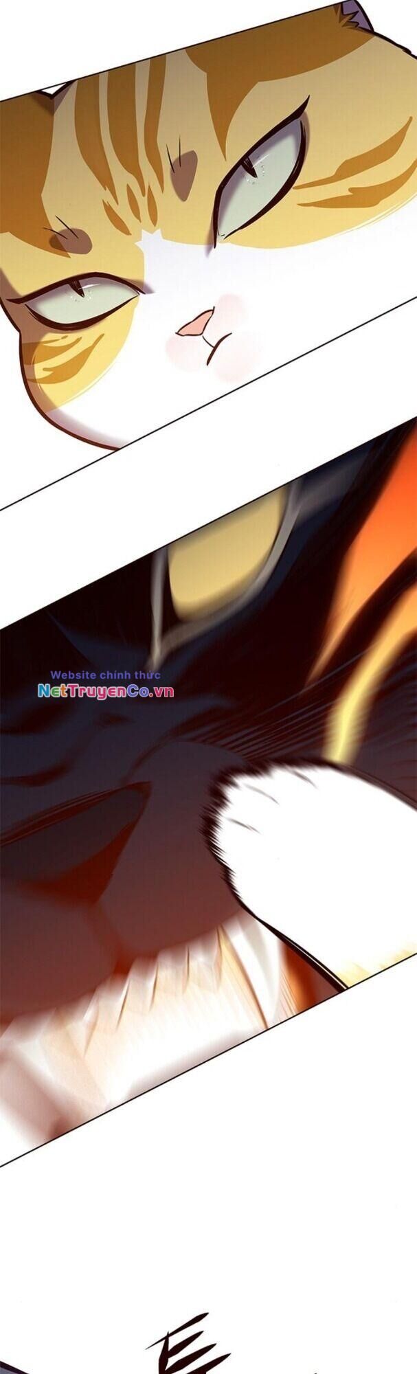 Cô Dâu Của Sói Trắng Chapter 163 - Trang 2