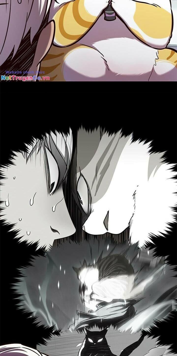 Cô Dâu Của Sói Trắng Chapter 165 - Trang 2