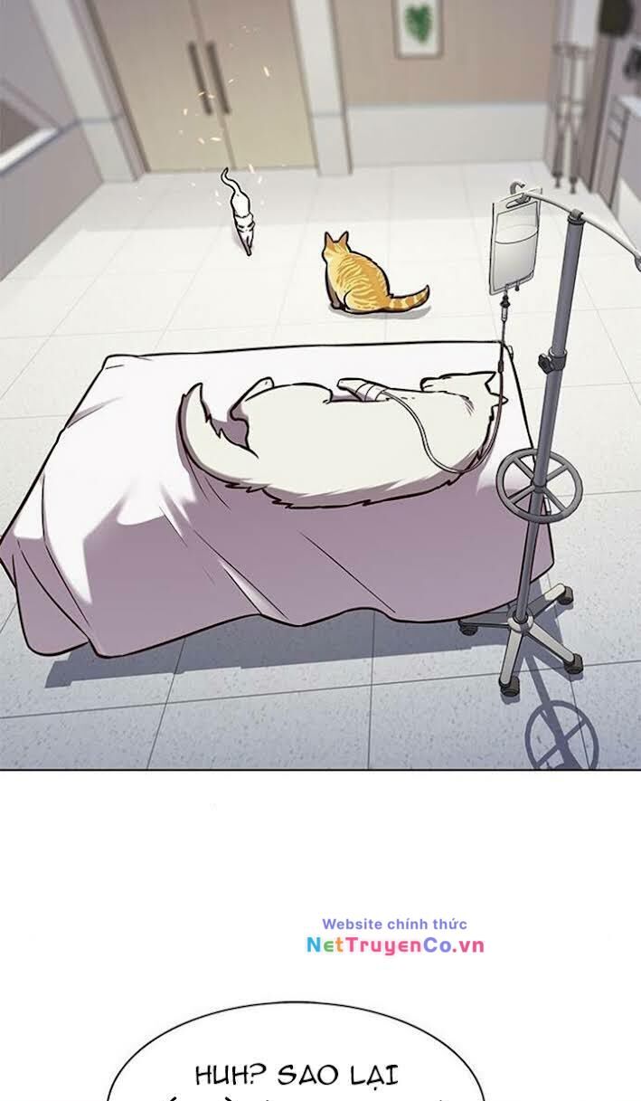 Cô Dâu Của Sói Trắng Chapter 166 - Trang 2