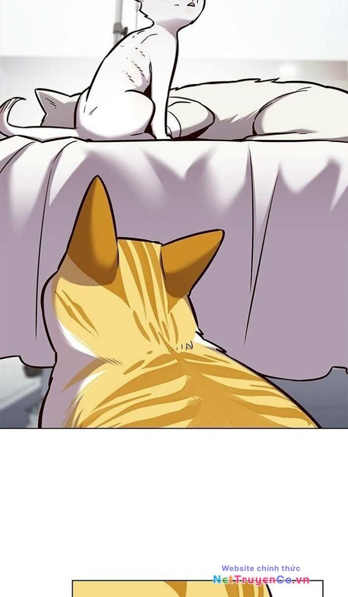 Cô Dâu Của Sói Trắng Chapter 166 - Trang 2