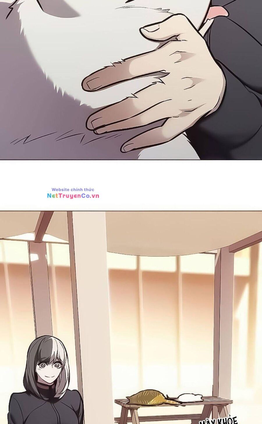 Cô Dâu Của Sói Trắng Chapter 168 - Trang 2