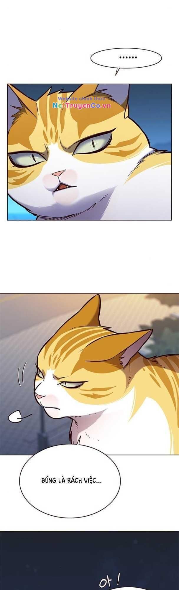 Cô Dâu Của Sói Trắng Chapter 169 - Trang 2