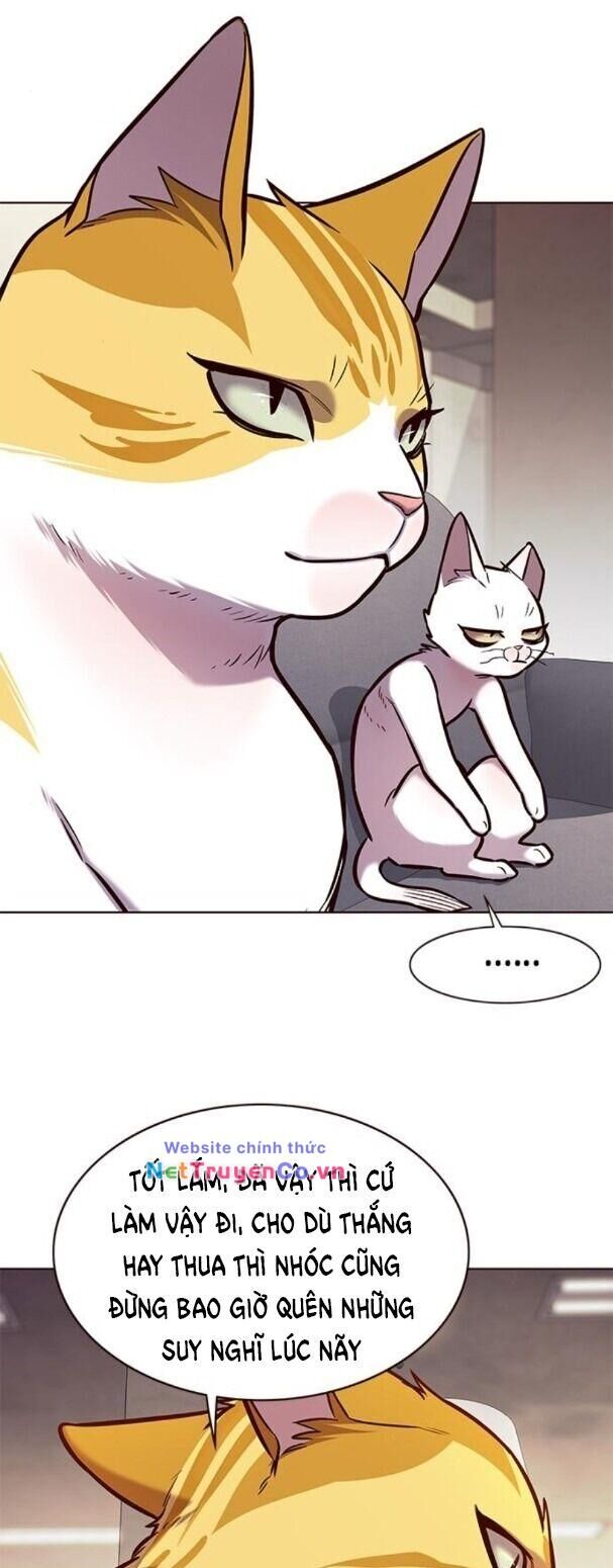 Cô Dâu Của Sói Trắng Chapter 173 - Trang 2