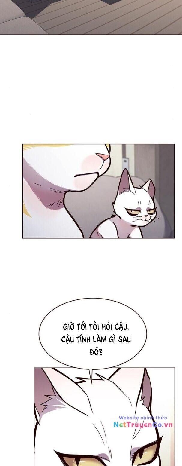 Cô Dâu Của Sói Trắng Chapter 173 - Trang 2