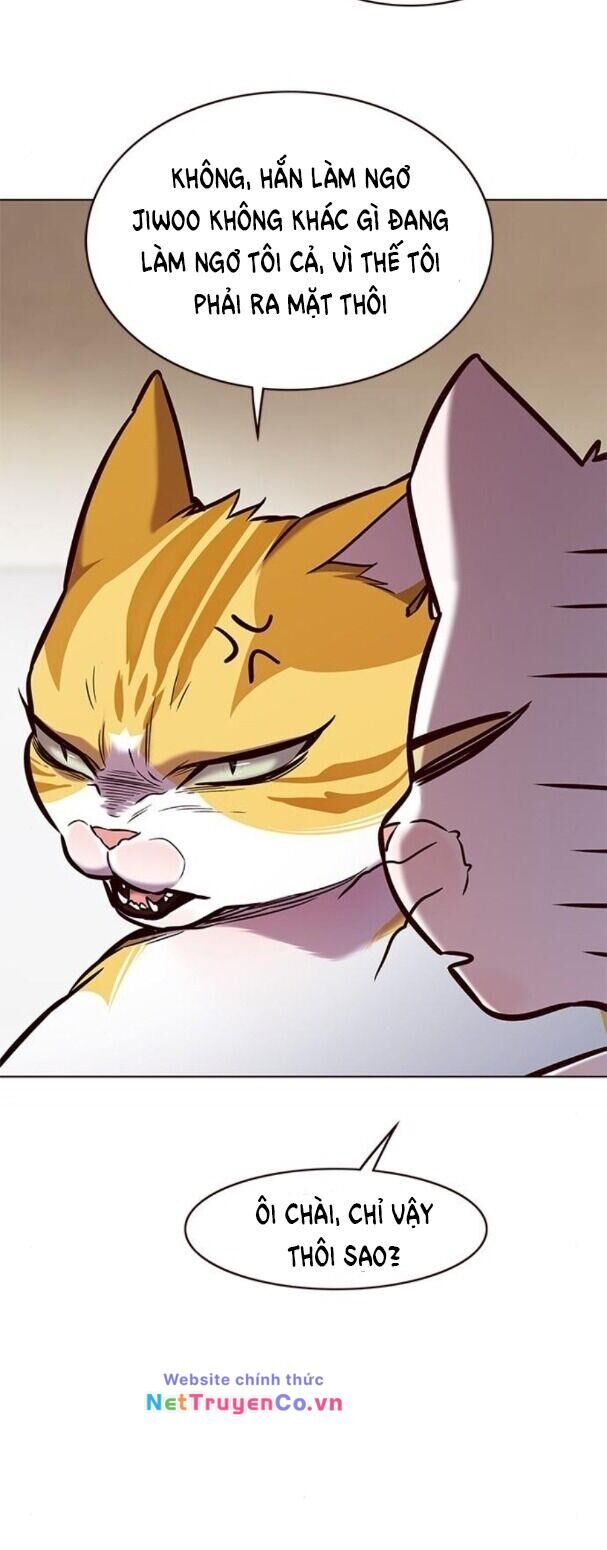 Cô Dâu Của Sói Trắng Chapter 173 - Trang 2