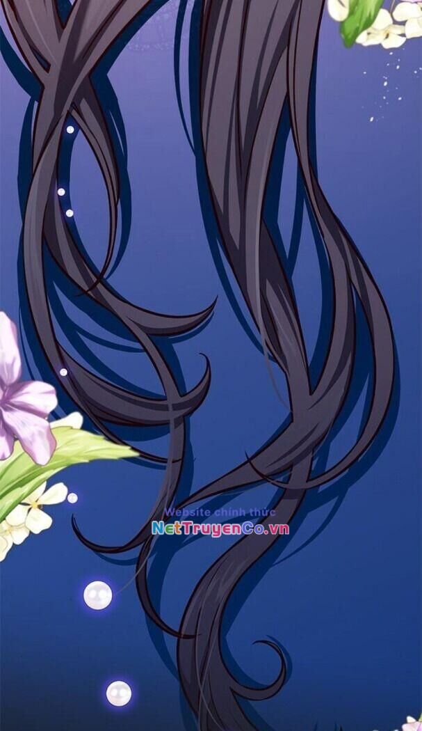 Cô Dâu Của Sói Trắng Chapter 174 - Trang 2