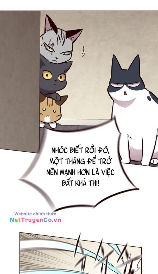 Cô Dâu Của Sói Trắng Chapter 174 - Trang 2