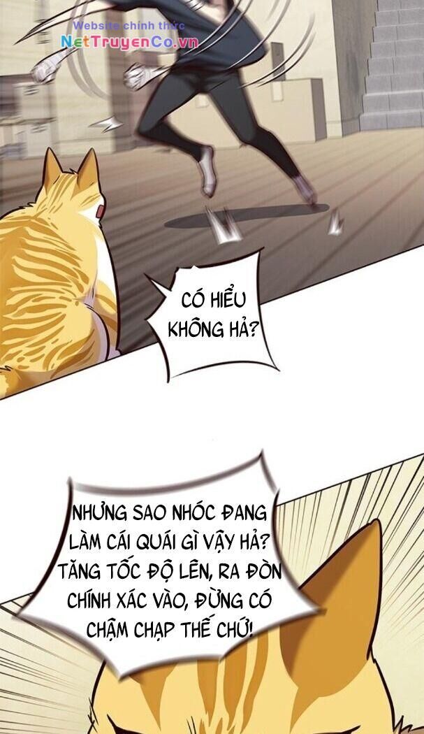 Cô Dâu Của Sói Trắng Chapter 174 - Trang 2