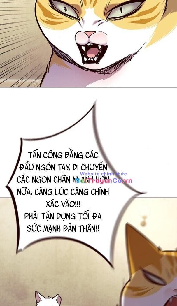 Cô Dâu Của Sói Trắng Chapter 174 - Trang 2