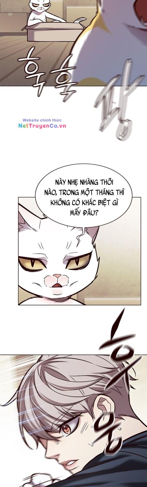 Cô Dâu Của Sói Trắng Chapter 174 - Trang 2