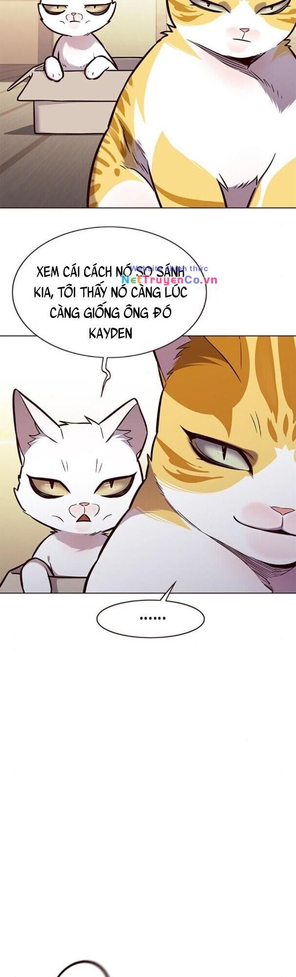 Cô Dâu Của Sói Trắng Chapter 174 - Trang 2