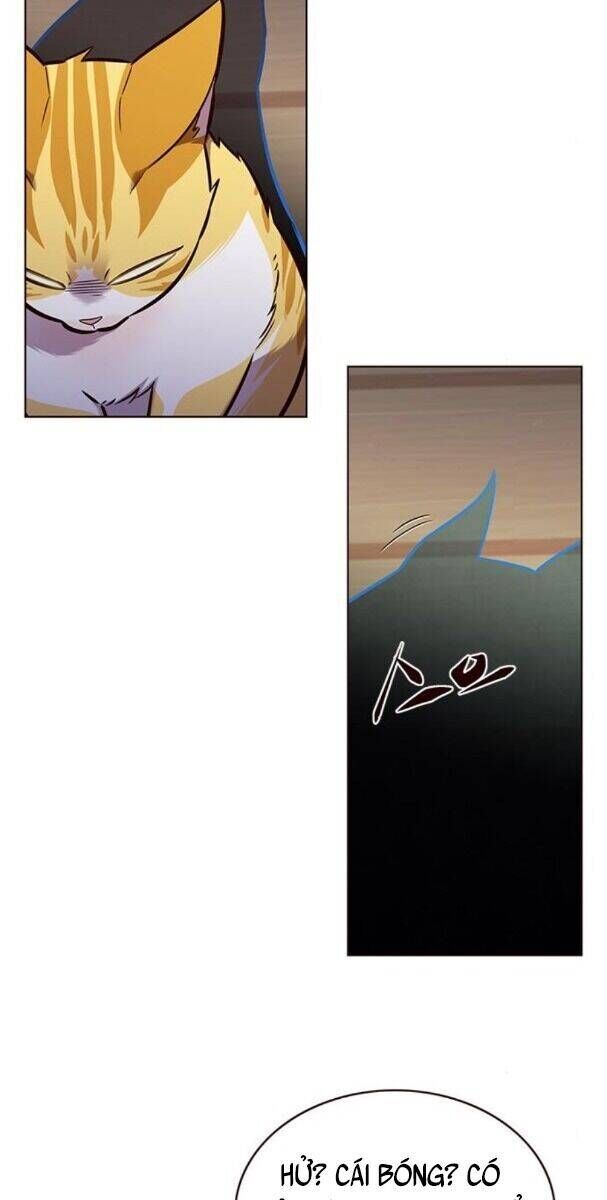 Cô Dâu Của Sói Trắng Chapter 174 - Trang 2