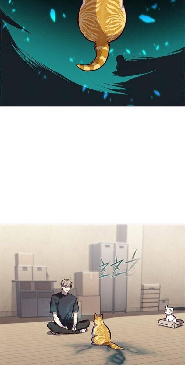 Cô Dâu Của Sói Trắng Chapter 174 - Trang 2