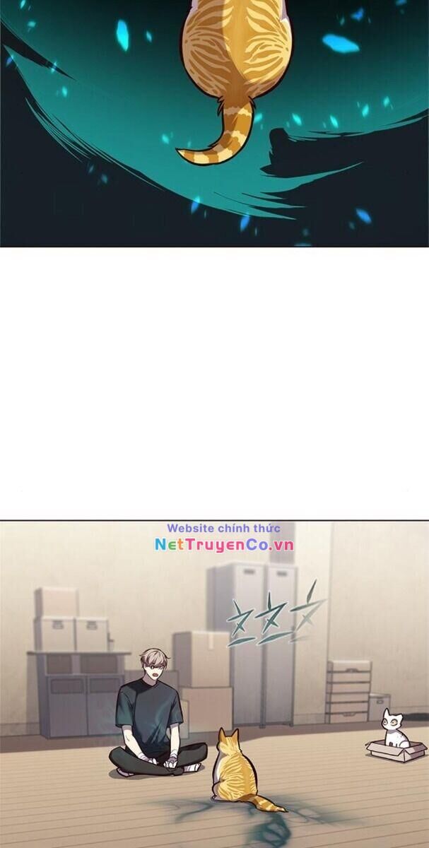 Cô Dâu Của Sói Trắng Chapter 174 - Trang 2
