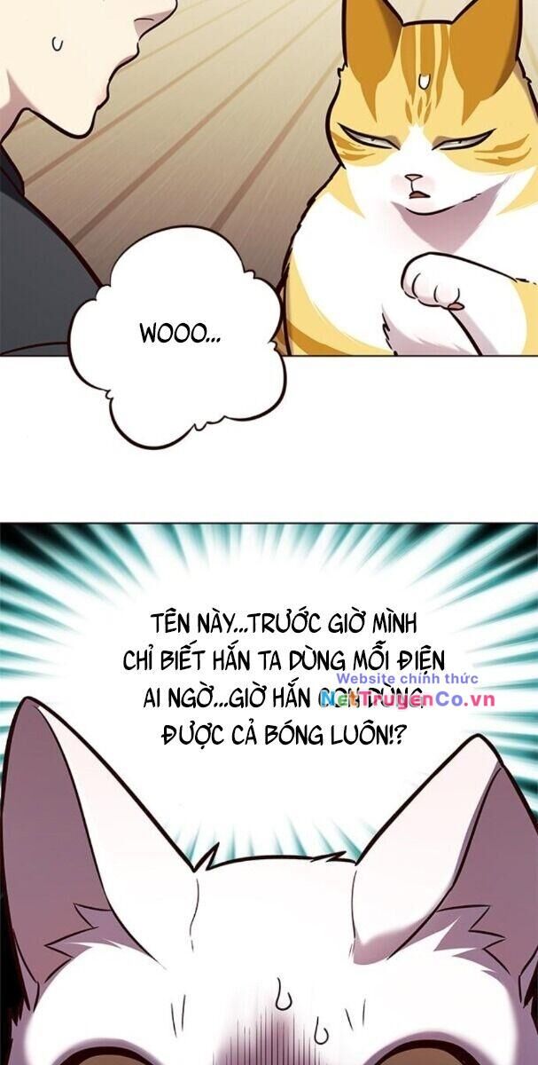 Cô Dâu Của Sói Trắng Chapter 174 - Trang 2