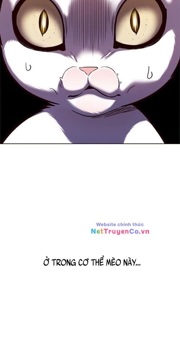 Cô Dâu Của Sói Trắng Chapter 174 - Trang 2