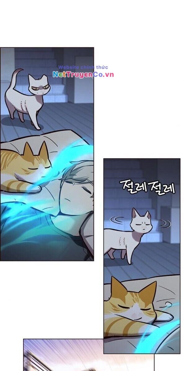 Cô Dâu Của Sói Trắng Chapter 174 - Trang 2