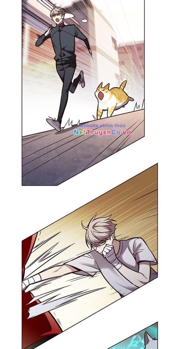 Cô Dâu Của Sói Trắng Chapter 174 - Trang 2