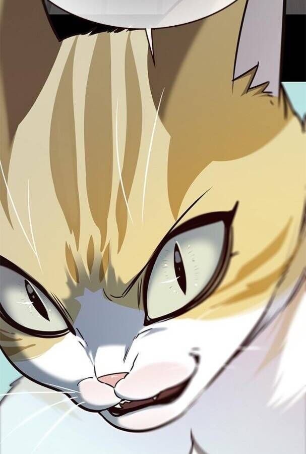 Cô Dâu Của Sói Trắng Chapter 175 - Trang 2