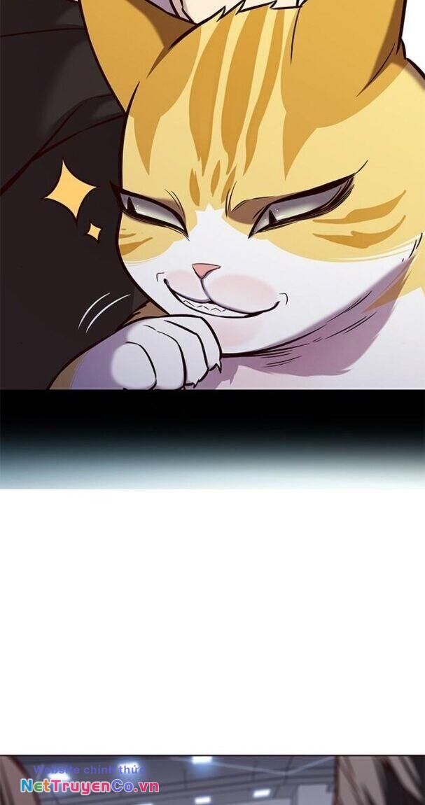 Cô Dâu Của Sói Trắng Chapter 176 - Trang 2