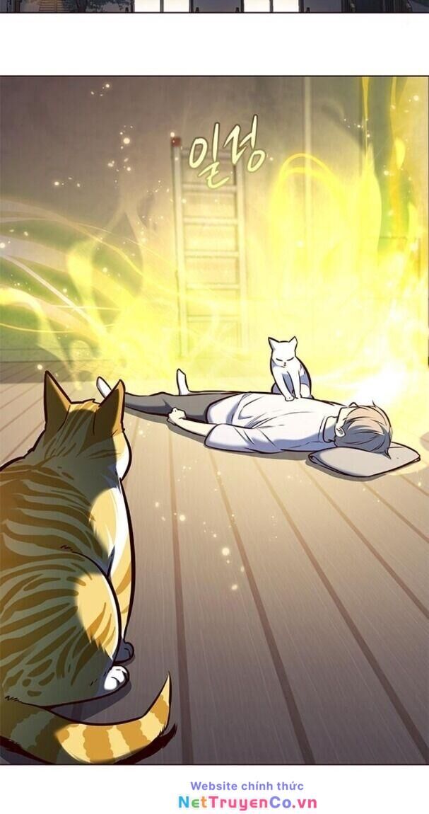 Cô Dâu Của Sói Trắng Chapter 176 - Trang 2