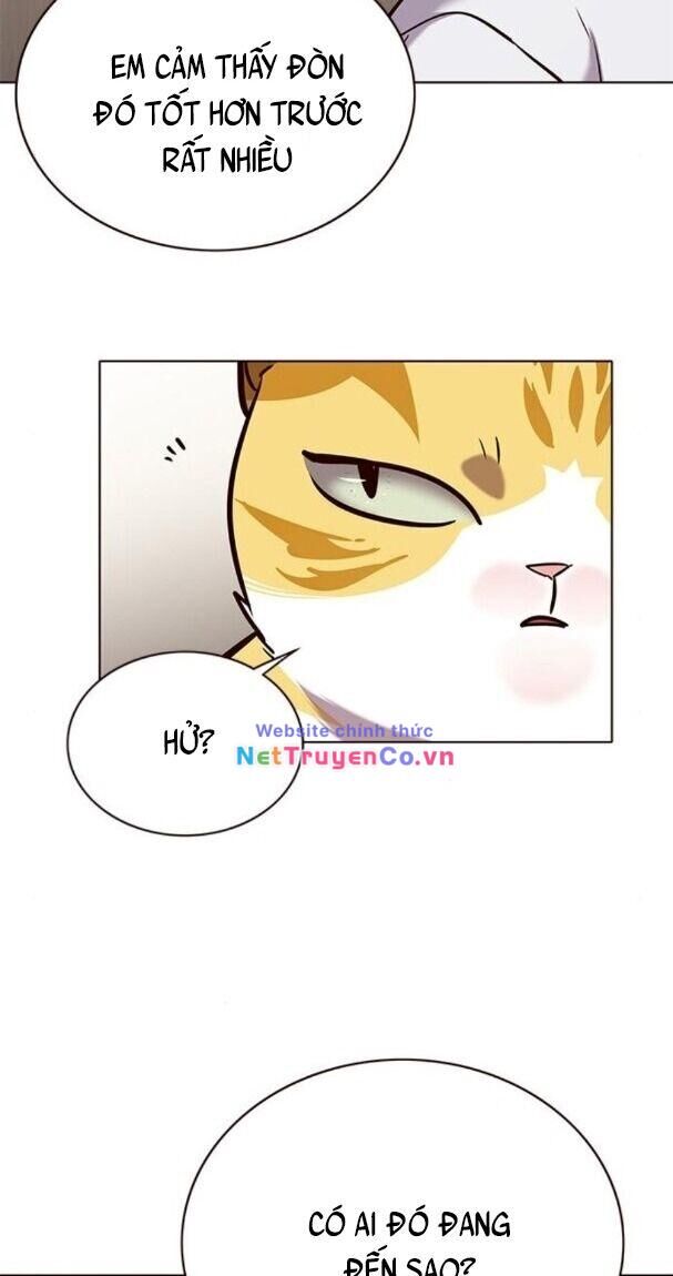 Cô Dâu Của Sói Trắng Chapter 176 - Trang 2