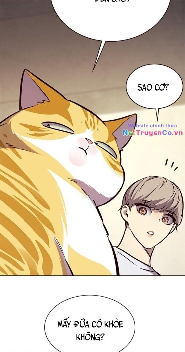 Cô Dâu Của Sói Trắng Chapter 176 - Trang 2