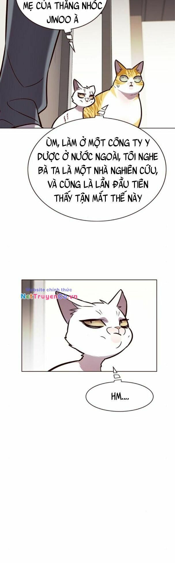 Cô Dâu Của Sói Trắng Chapter 177 - Trang 2