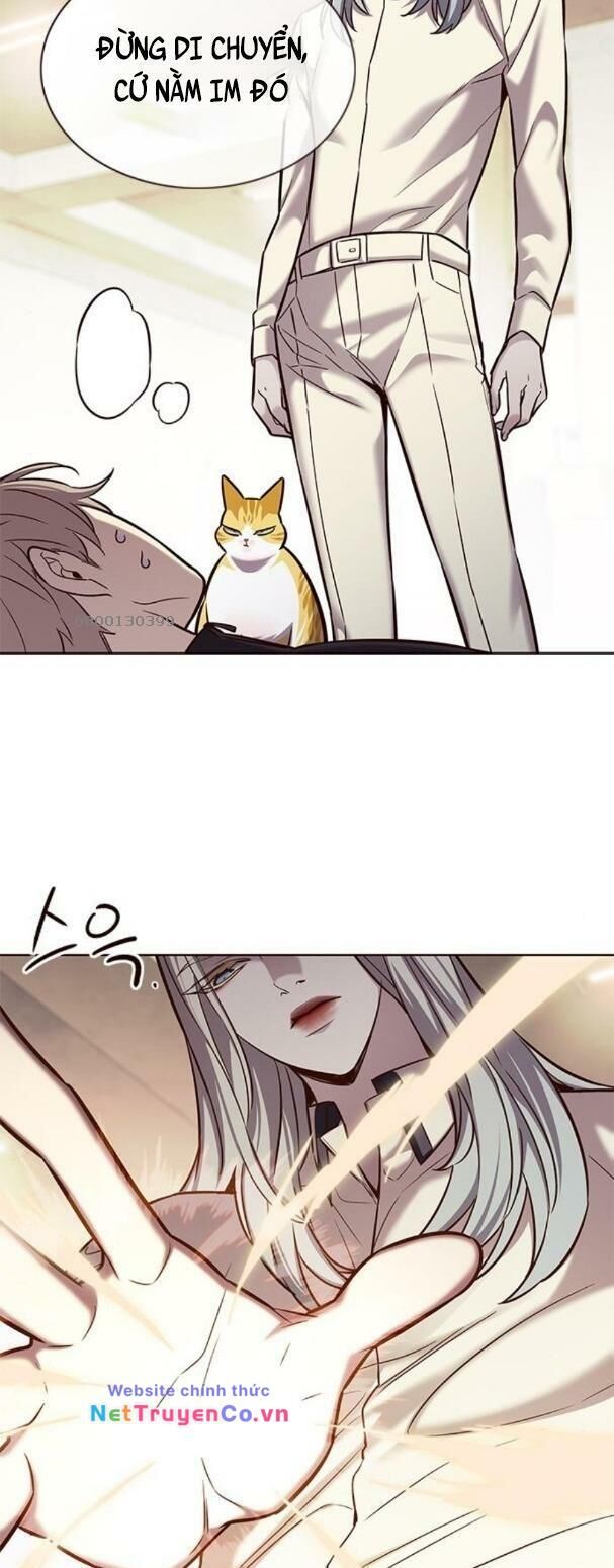 Cô Dâu Của Sói Trắng Chapter 179 - Trang 2