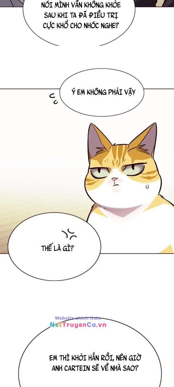 Cô Dâu Của Sói Trắng Chapter 179 - Trang 2