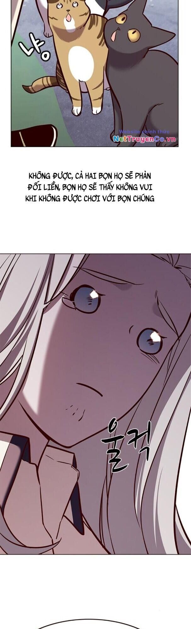 Cô Dâu Của Sói Trắng Chapter 179 - Trang 2