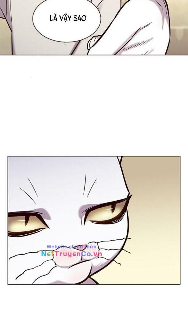 Cô Dâu Của Sói Trắng Chapter 180 - Trang 2