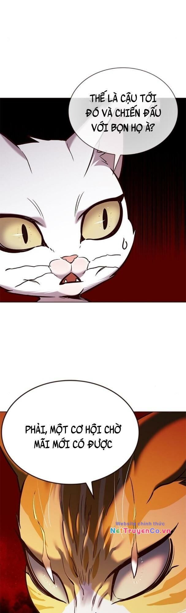 Cô Dâu Của Sói Trắng Chapter 180 - Trang 2