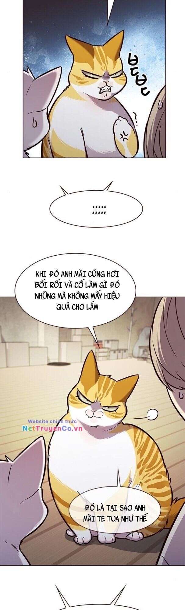 Cô Dâu Của Sói Trắng Chapter 180 - Trang 2