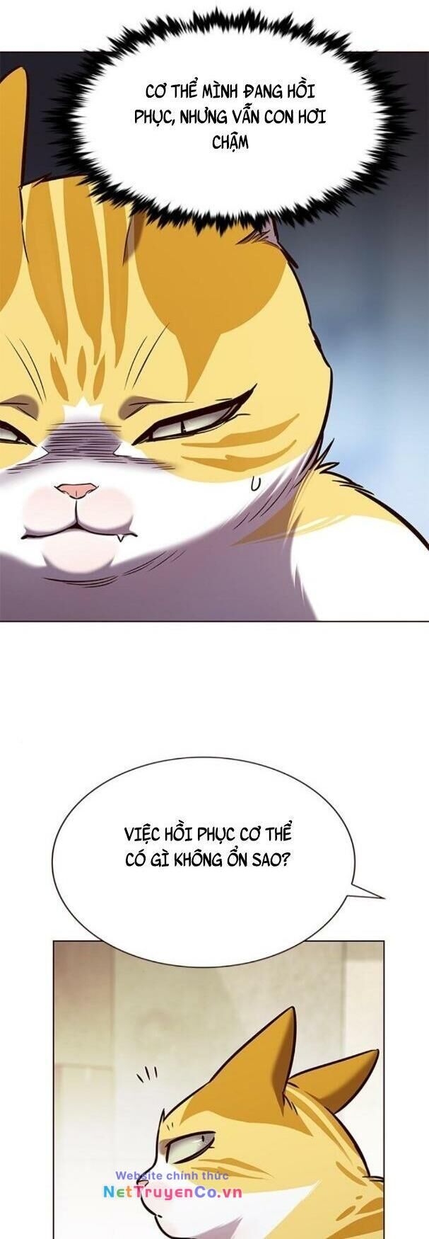 Cô Dâu Của Sói Trắng Chapter 180 - Trang 2