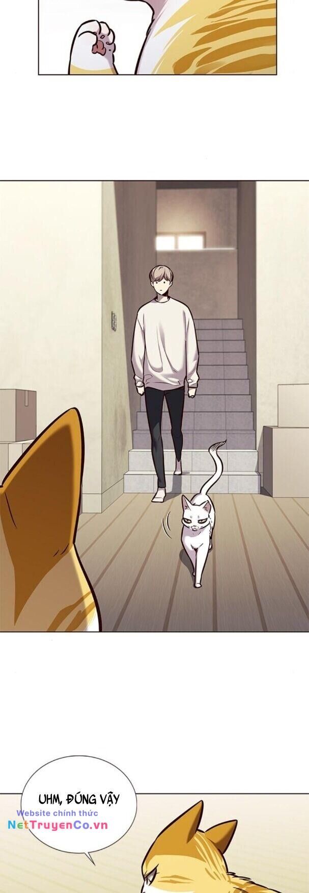 Cô Dâu Của Sói Trắng Chapter 180 - Trang 2