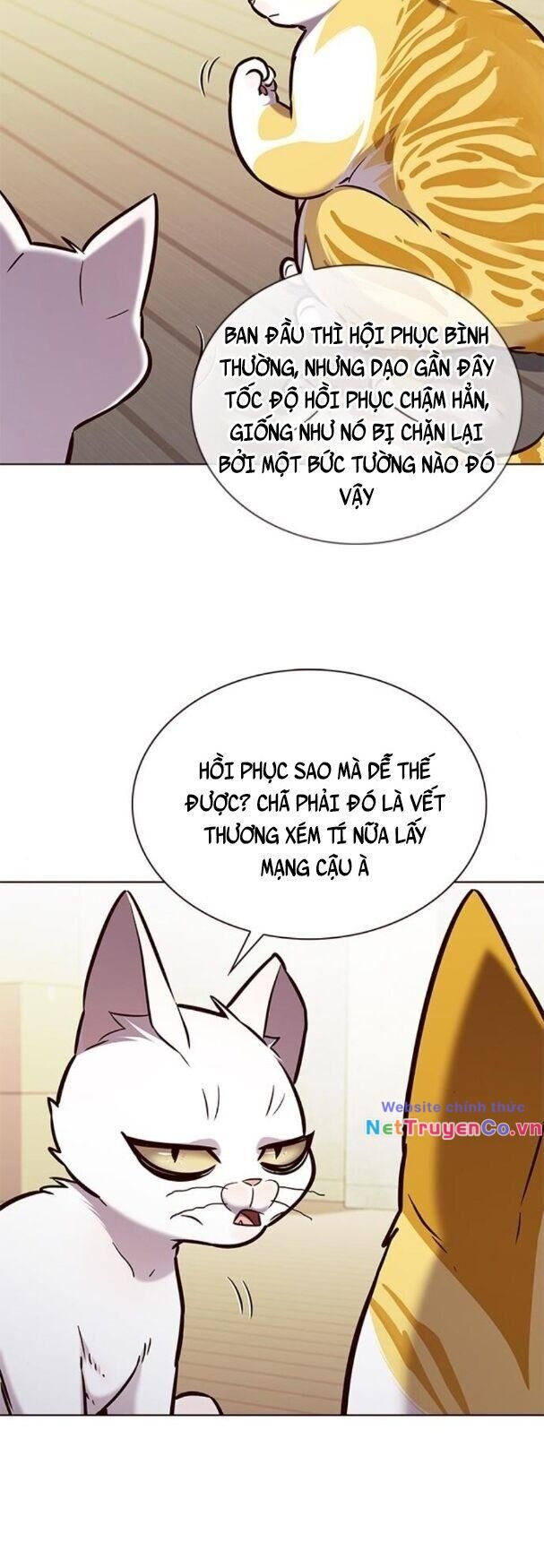 Cô Dâu Của Sói Trắng Chapter 180 - Trang 2