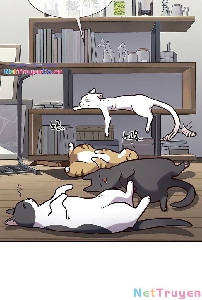 Cô Dâu Của Sói Trắng Chapter 187 - Trang 2