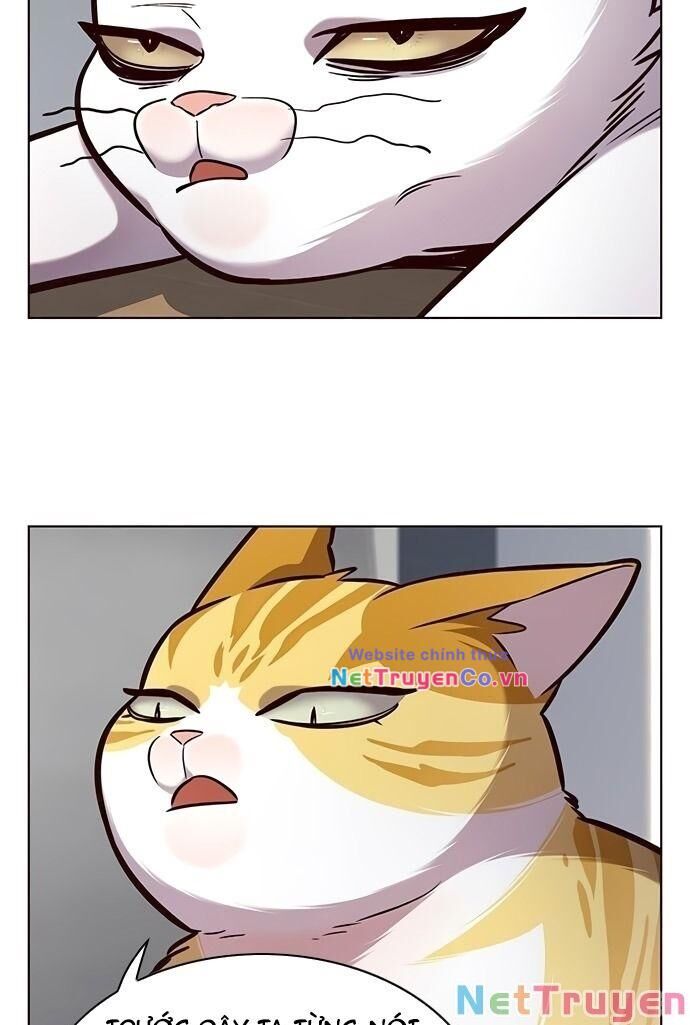 Cô Dâu Của Sói Trắng Chapter 187 - Trang 2