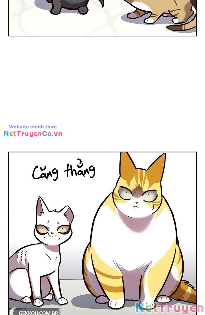 Cô Dâu Của Sói Trắng Chapter 188 - Trang 2