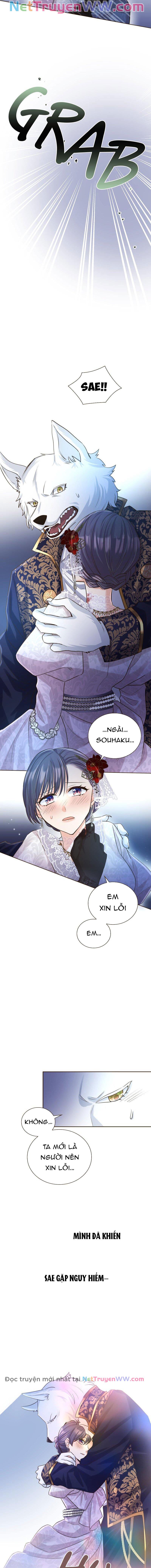 Cô Dâu Của Sói Trắng Chapter 19 - Trang 2