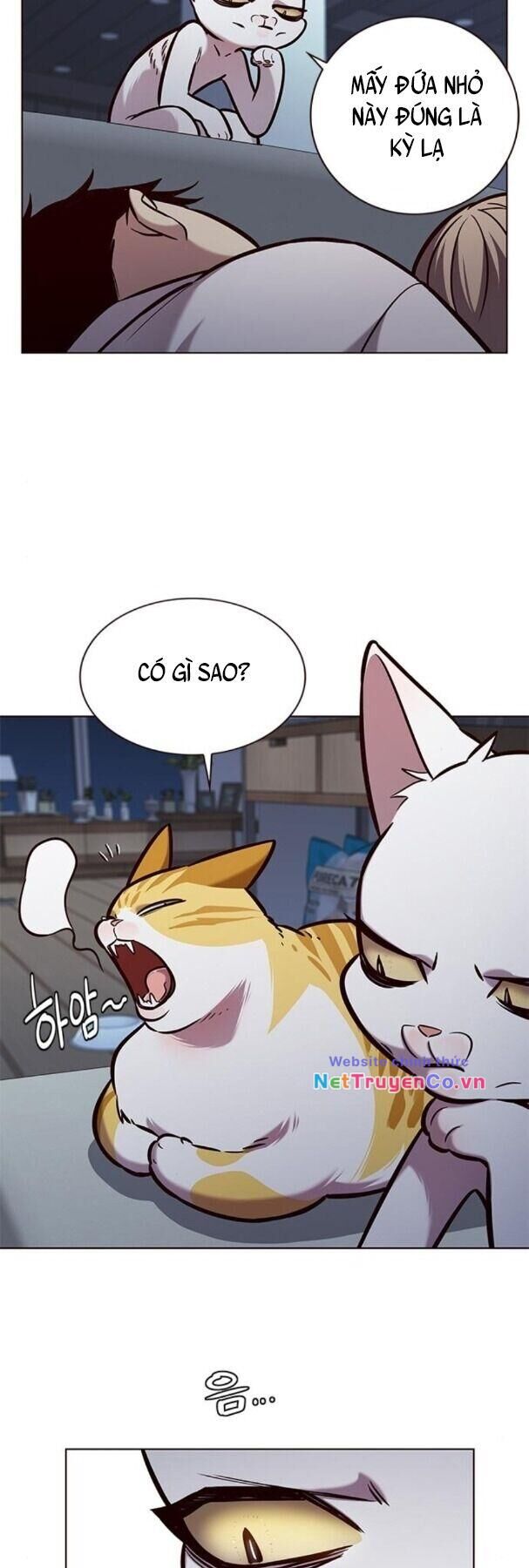 Cô Dâu Của Sói Trắng Chapter 190 - Trang 2