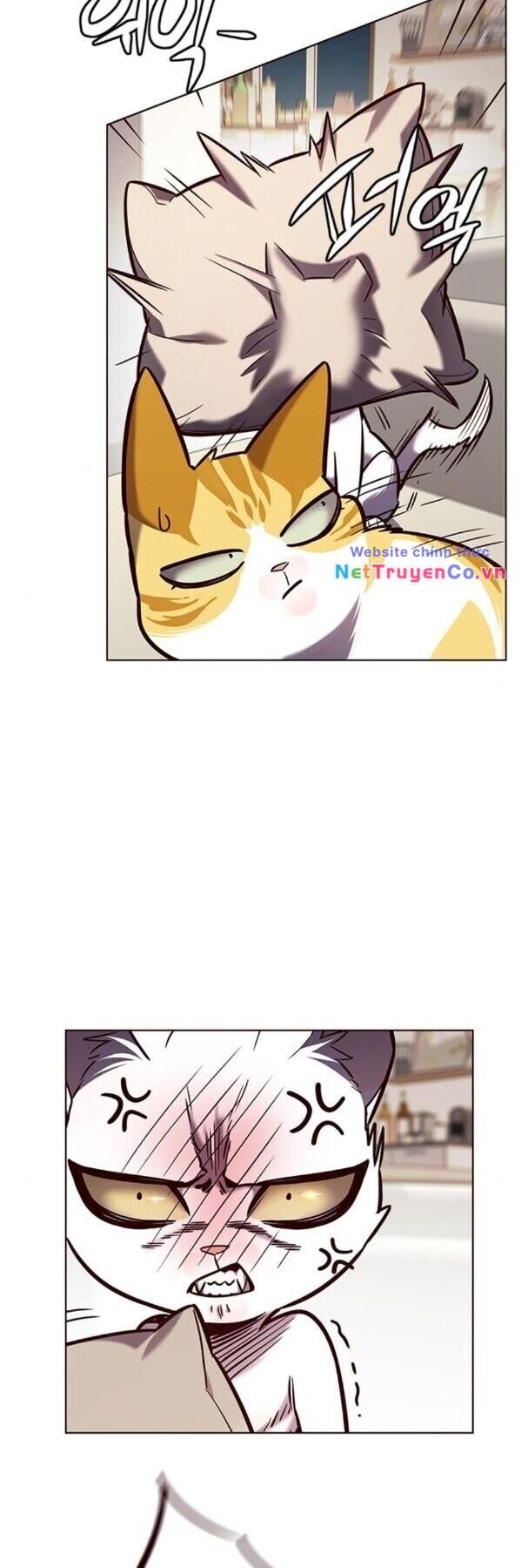 Cô Dâu Của Sói Trắng Chapter 190 - Trang 2