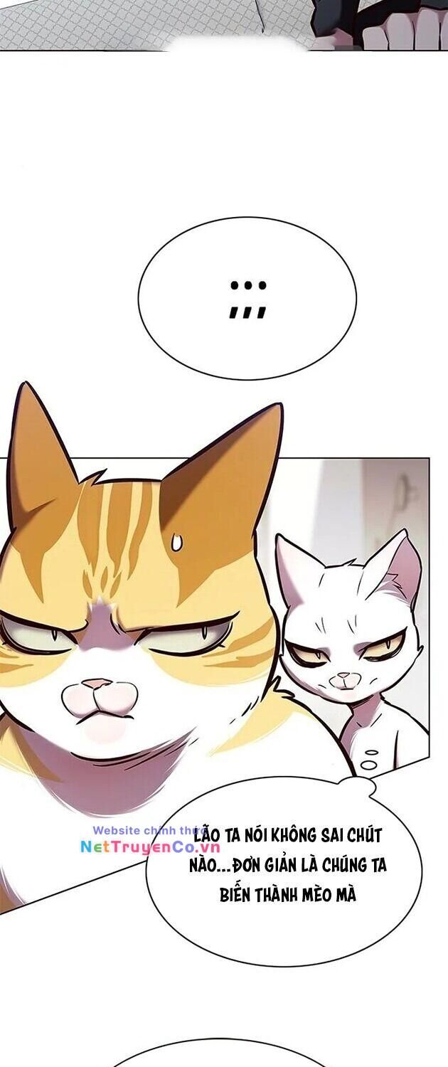 Cô Dâu Của Sói Trắng Chapter 196 - Trang 2