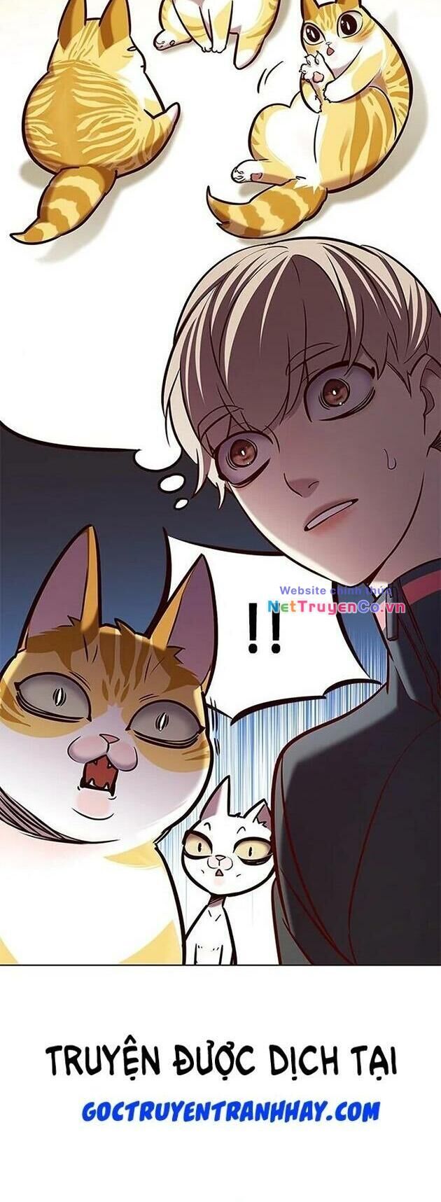 Cô Dâu Của Sói Trắng Chapter 196 - Trang 2