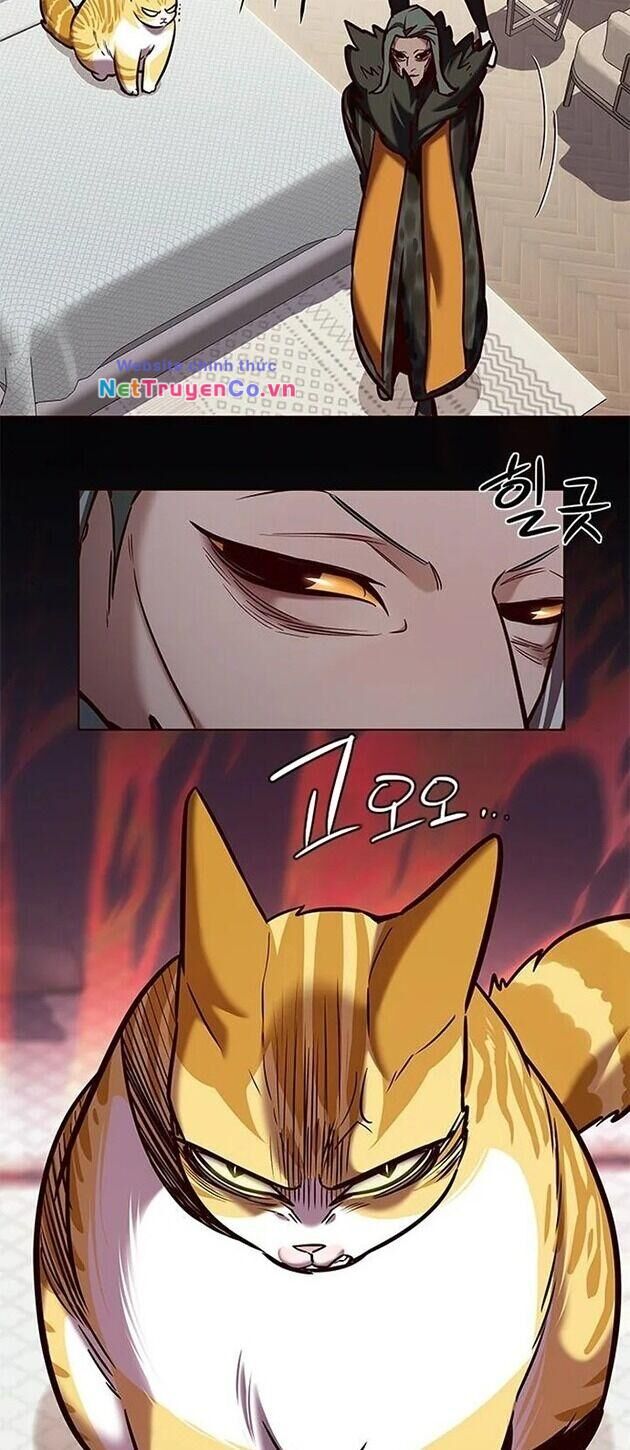 Cô Dâu Của Sói Trắng Chapter 196 - Trang 2