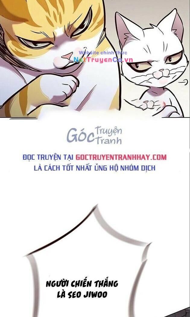 Cô Dâu Của Sói Trắng Chapter 198 - Trang 2